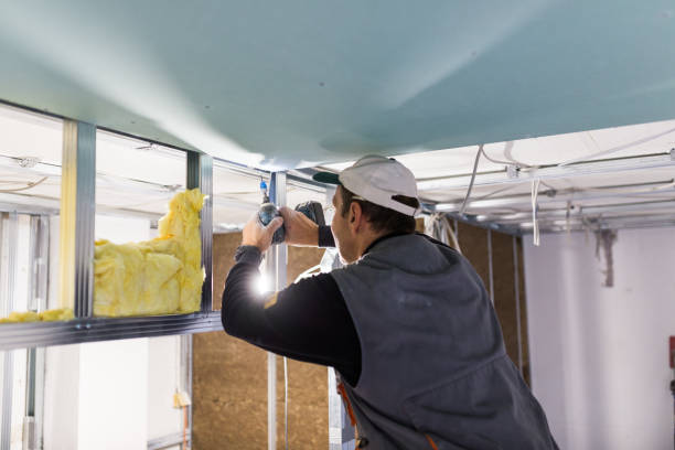 Best Spray Foam Insulation  in Raymond, MS