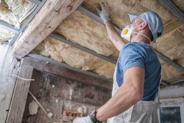 Best Home Insulation Services  in Raymond, MS