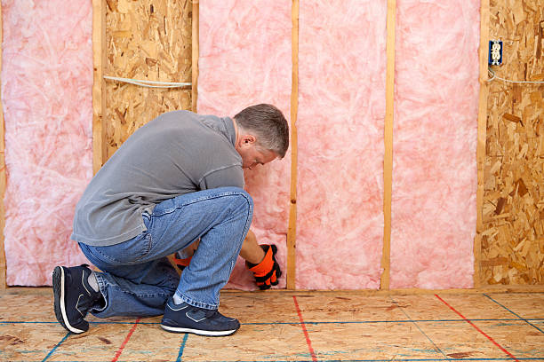 Insulation Replacement Services in Raymond, MS