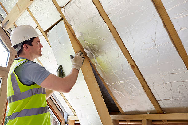 Best Affordable Insulation Services  in Raymond, MS