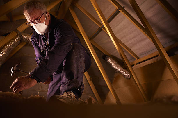 Best Residential Insulation Services  in Raymond, MS